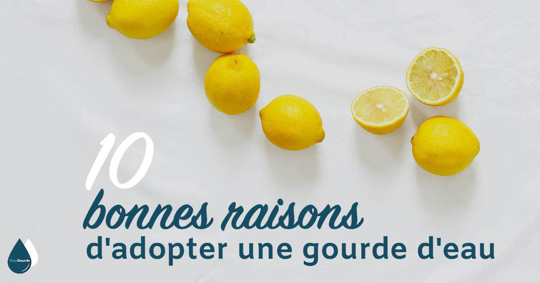 10 bonnes raisons d’adopter une gourde d’eau