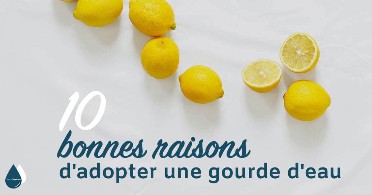 10 bonnes raisons d’adopter une gourde d’eau