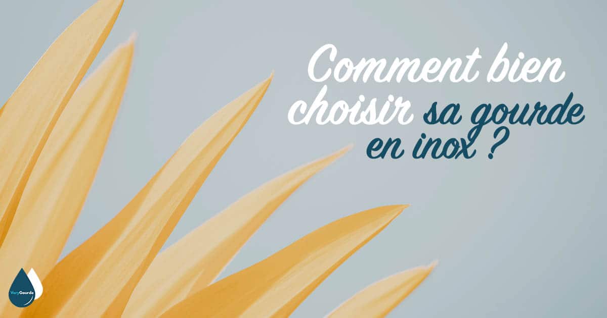 Comment bien choisir sa gourde en inox : les critères de sélection