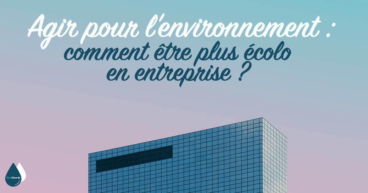 Agir pour l’environnement : comment être plus écolo en entreprise ?
