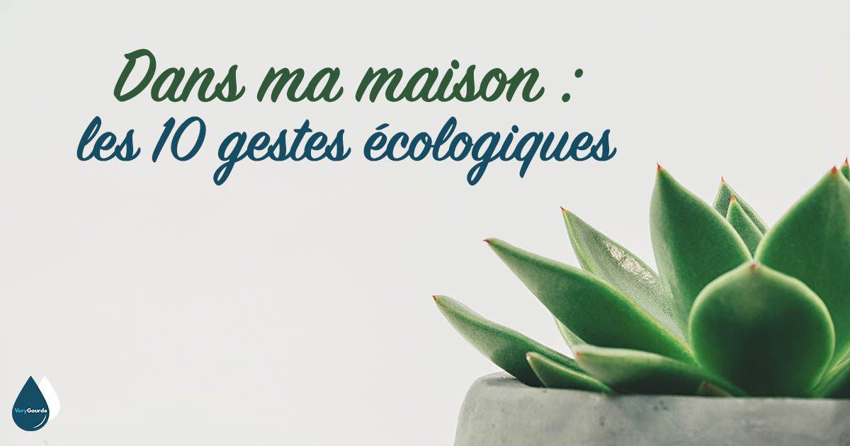 Dans ma maison : les 10 gestes écologiques les plus efficaces au quotidien