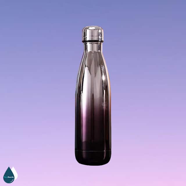 gourde inox 500ml