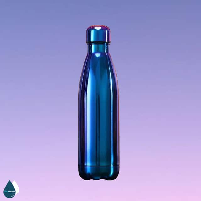 gourde inox 500ml