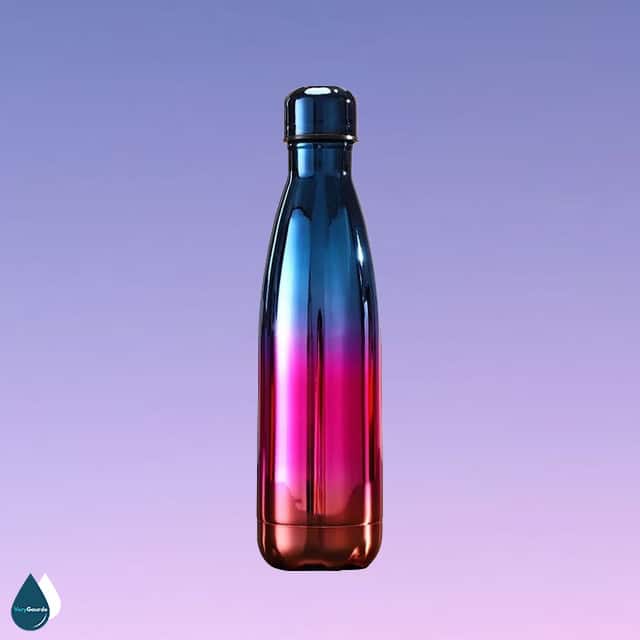 gourde inox 500ml