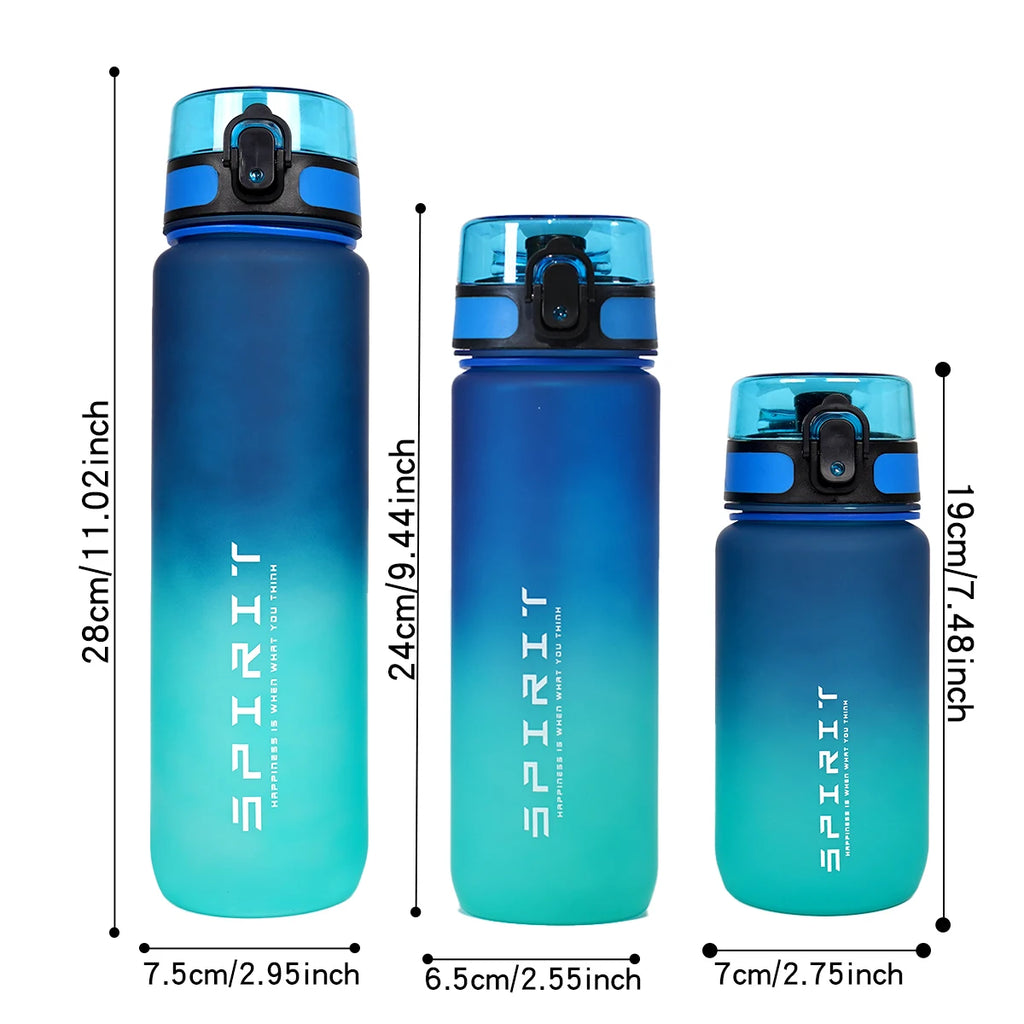 Gourde de sport 600 ml à 1 L