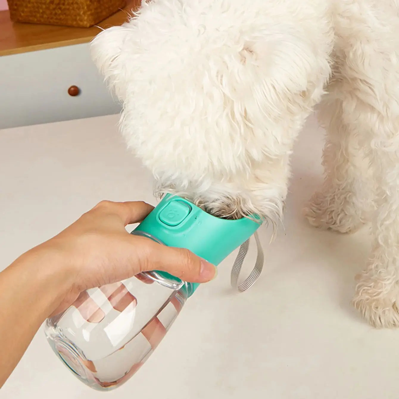 Gourde pour chien 300 ml à 550 ml