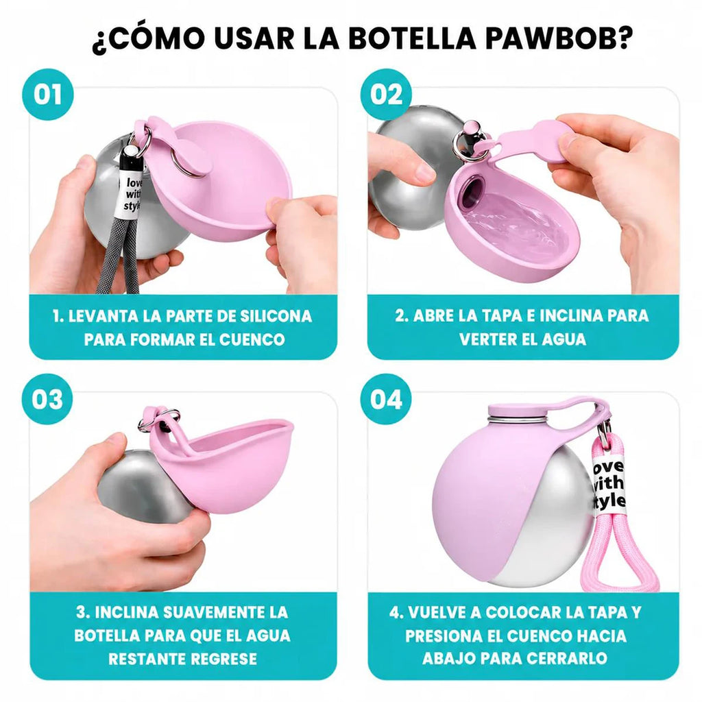 Gourde pour chien en inox