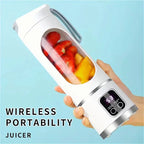 Gourde 450 ml