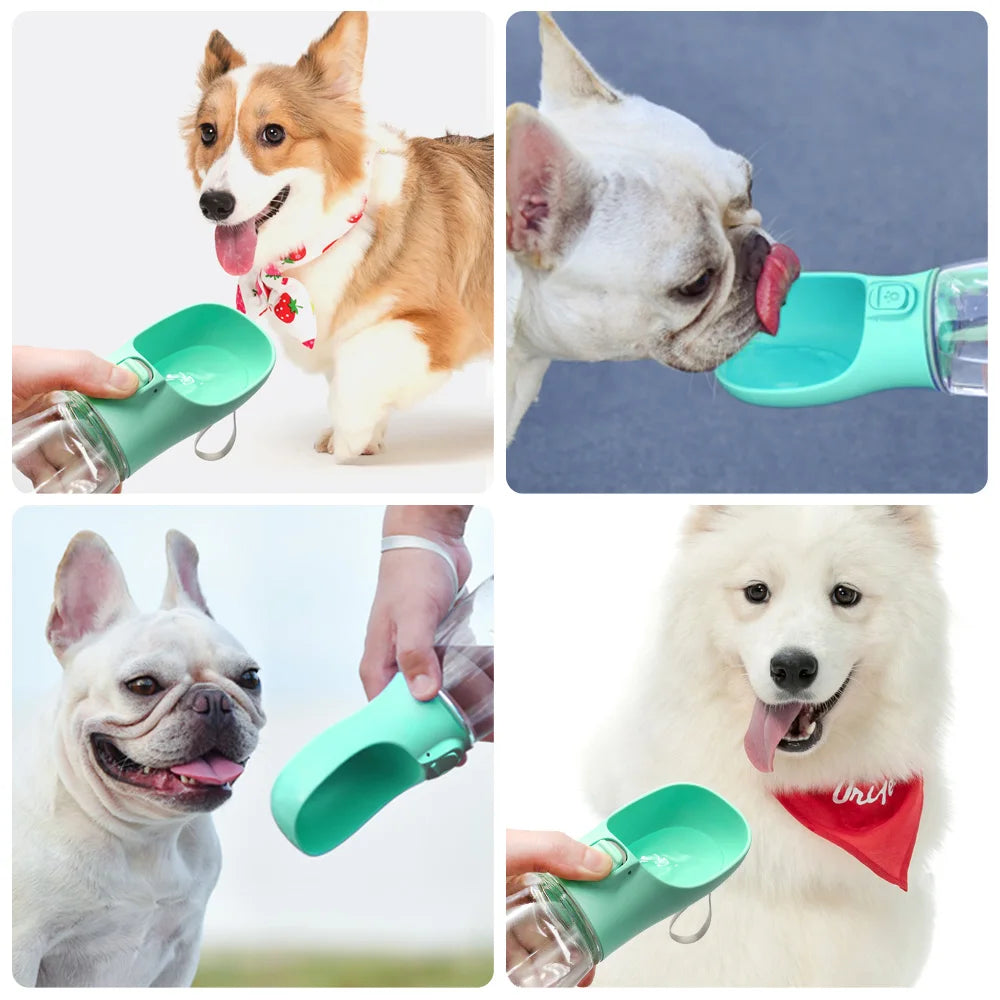 Gourde pour chien 300 ml à 550 ml anti-fuite