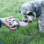 Gourde pour chien en inox