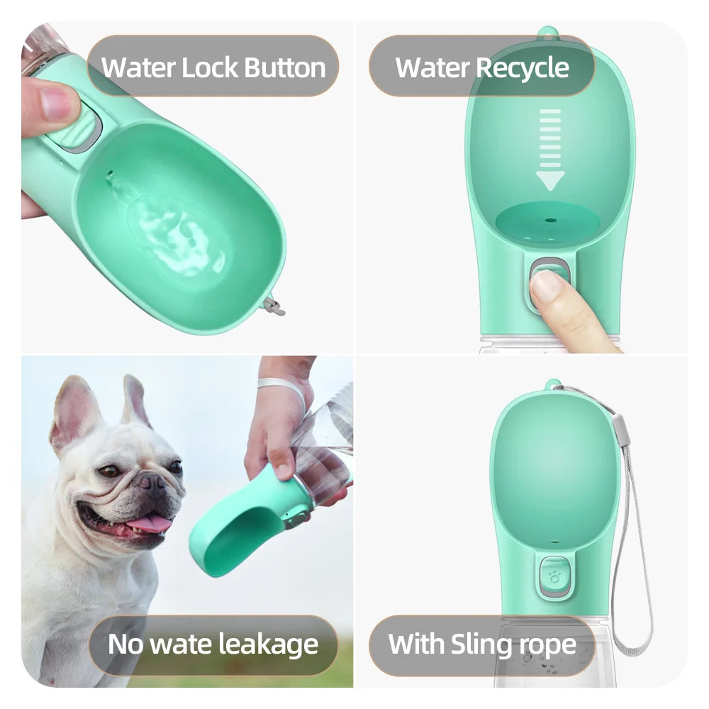 Gourde pour chien 300 ml à 550 ml anti-fuite
