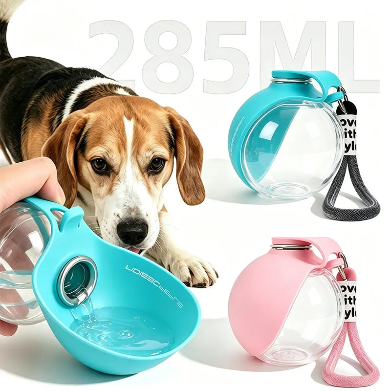 Gourde pour chien en silicone à mousqueton
