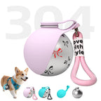 Gourde pour chien en inox