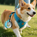 Gourde pour chien en silicone à mousqueton